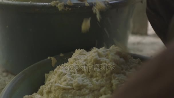 Ιθαγενών βάζοντας μανιόκας μάζα σε ένα κουβά με τα χέρια από το μηχάνημα - Amazon - Βραζιλία - Πλάνα, βίντεο