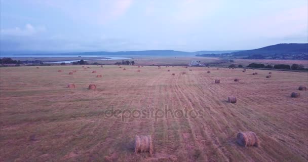 飛行干し草スタックのフィールドの上、空中のビュー。田園風景。ロシア - 映像、動画