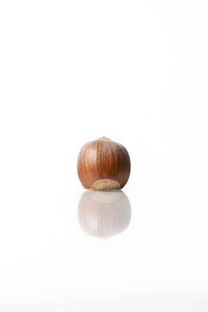 hazelnuts isolated on white - Photo, Image
