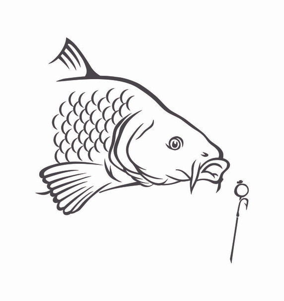 szablon logo połowów - Wektor, obraz