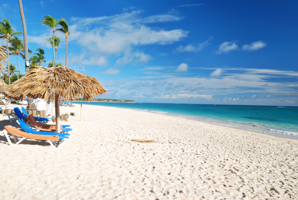 Caribbean beach - Photo, Image