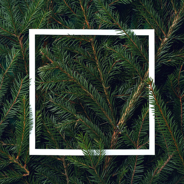 Frame of Christmas tree branches - Photo, Image