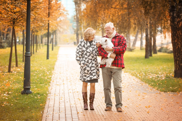 Elderly couple in park   - Valokuva, kuva