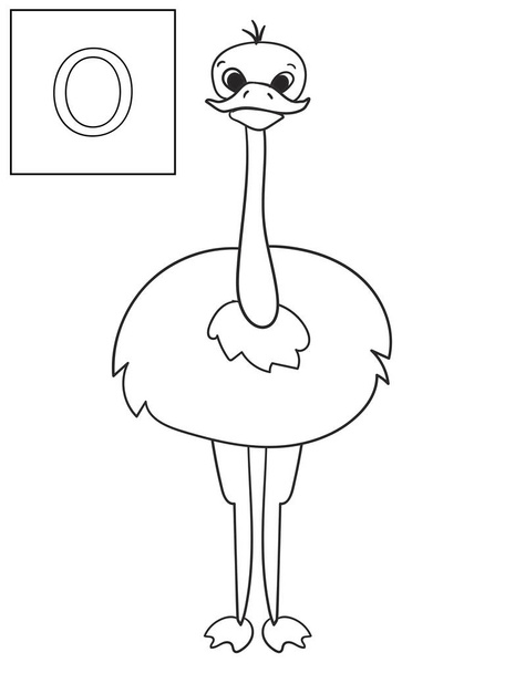 Lear the name of African animals. Inscription Ostrich. Educational game vector. ABC coloring - Vector, Image