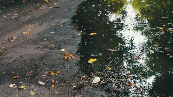 riesige schmutzige schwarze Pfütze nach dem Regen auf dem Boden - Filmmaterial, Video