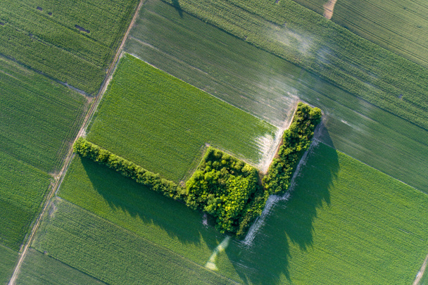 Vista aérea de los campos agrícolas y forestales - Foto, Imagen
