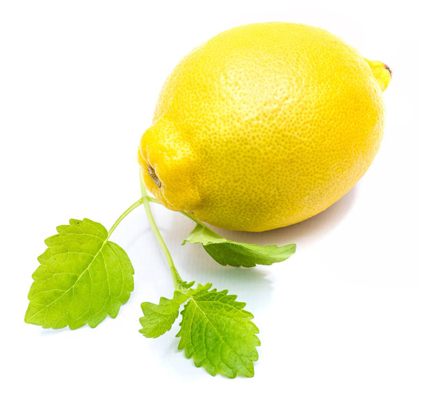 Lemon with melissa isolated - Photo, Image