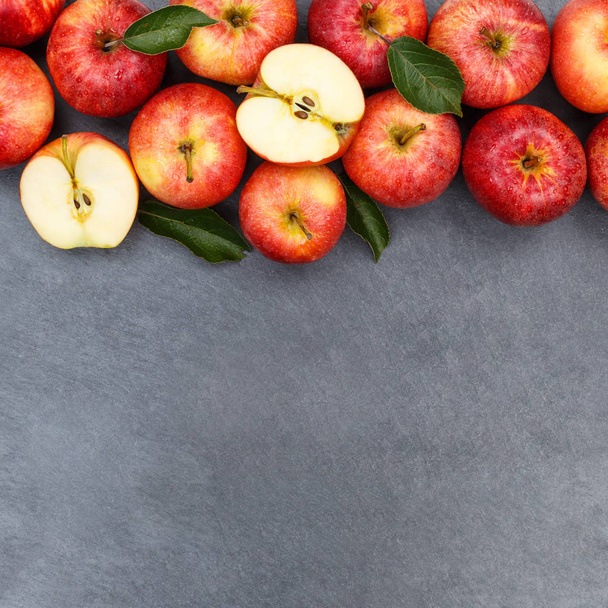 Apples apple fruit fruits slate copyspace square red top view - Фото, зображення