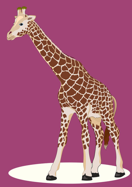 Illusztráció tini zsiráf - Vektor, kép