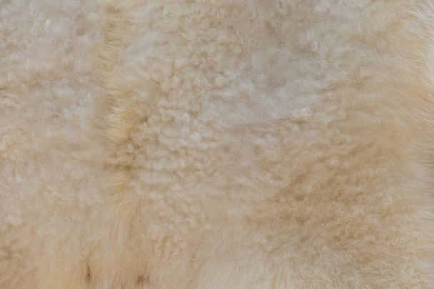 Natural sheep wool texture closeup for background - Photo, Image