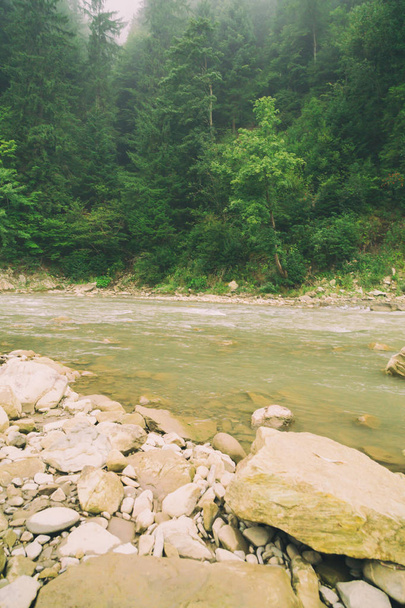 山川のゴージャスな景色。夏休みとホーリー - 写真・画像