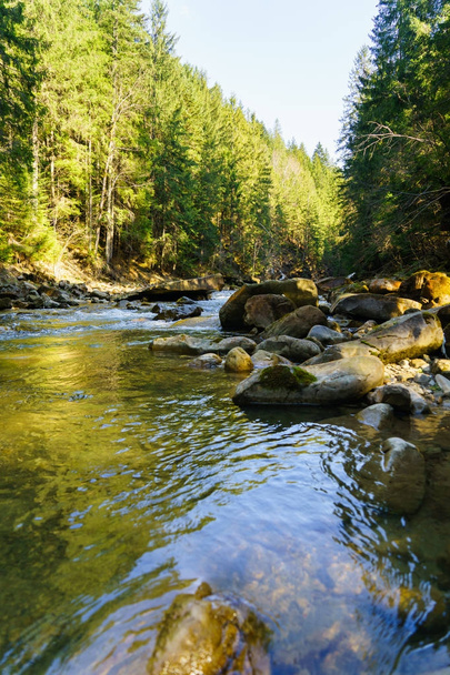 Чудовий гірський річковий і лісовий пейзаж
 - Фото, зображення