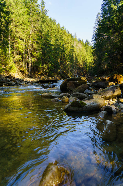 herrliche Gebirgsfluss- und Waldlandschaft - Foto, Bild