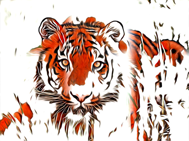 χρώμα εικονογράφηση τέχνη τίγρης - Φωτογραφία, εικόνα