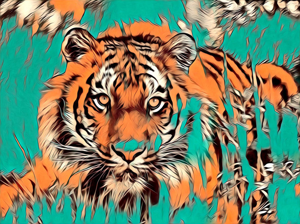tigre arte ilustração cor
 - Foto, Imagem