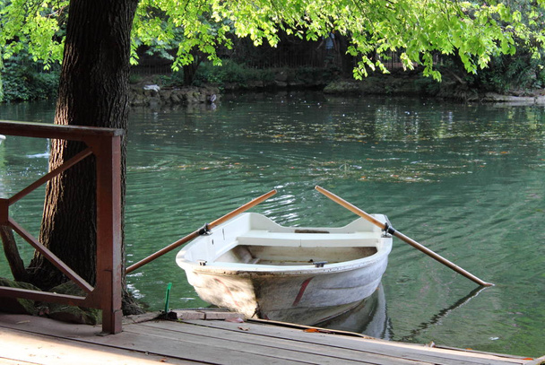 Βάρκα με κουπιά προσδένονται στην λίμνη - Φωτογραφία, εικόνα