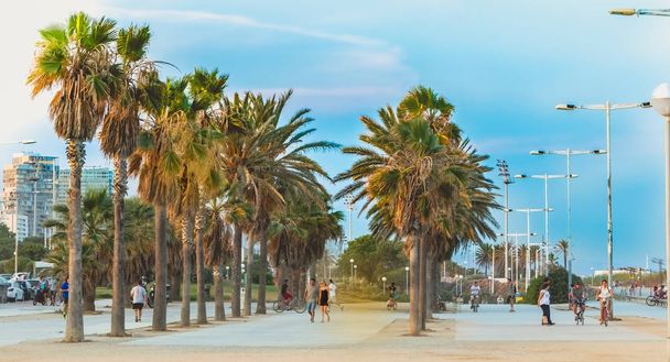 insanlar d sonunda barcelona beach üzerinde yürüyor - Fotoğraf, Görsel