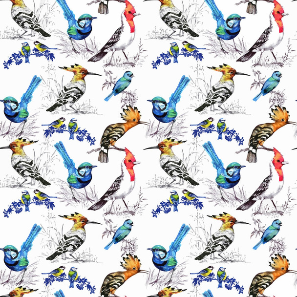 Watercolor hand drawn seamless pattern with beautiful flowers and colorful birds on white background. - ベクター画像