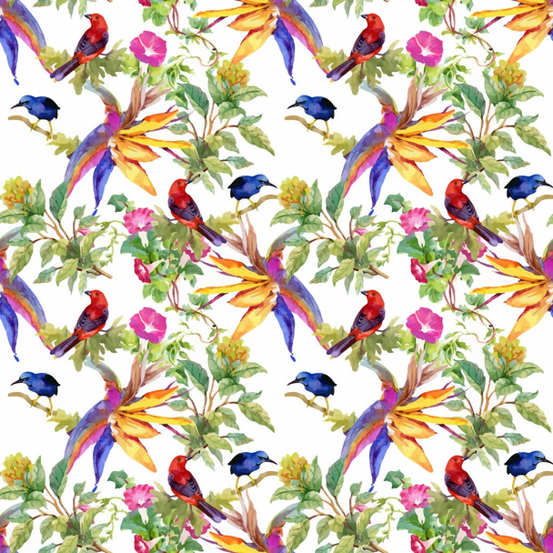 beautiful flowers and colorful birds  - Vektori, kuva