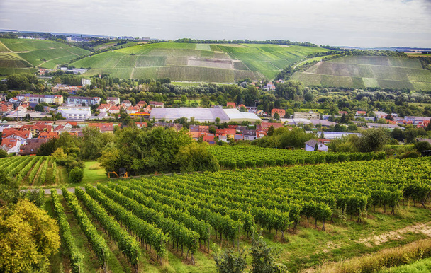 paisagem sazonal de Wurzburg, Baviera
  - Foto, Imagem