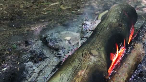 Enorme brandende brandhout of logs liggen op de green en branden in de vlammen van het vuur in de open lucht - Video
