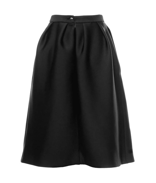black long skirt on a white background - Photo, Image