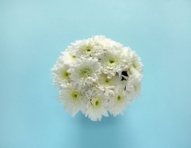 White flowers on blue background - Foto, Bild
