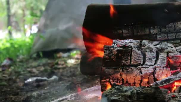 Αρχεία καταγραφής και μια φωτιά που καίει καίει στο παρασκήνιο της τουριστική σκηνή - Πλάνα, βίντεο