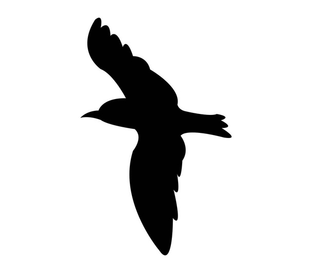 seagull silhouette on white background - Διάνυσμα, εικόνα
