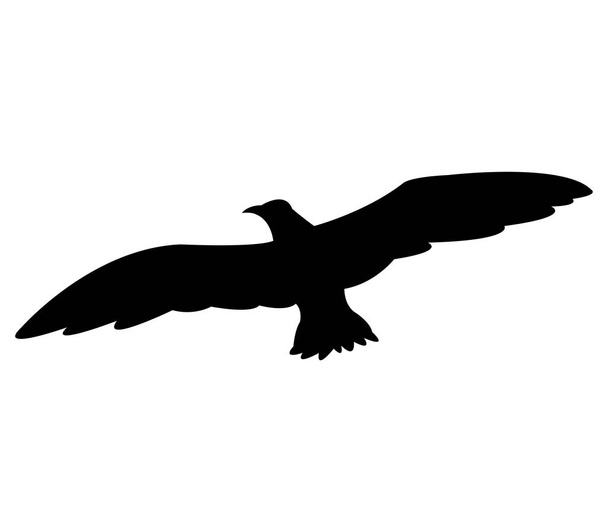 силует чайки на білому тлі
 - Вектор, зображення