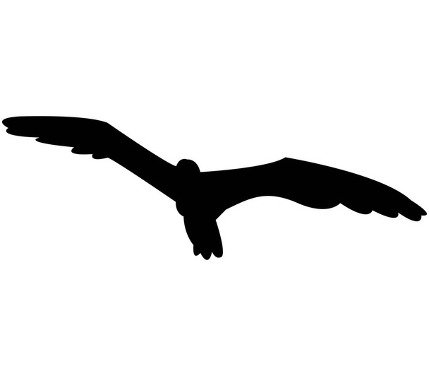 Seagull silhouet op witte achtergrond - Vector, afbeelding