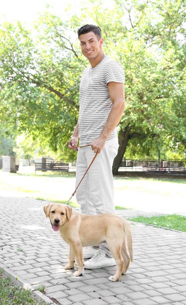 Young man walking yellow retriever in park - Foto, afbeelding