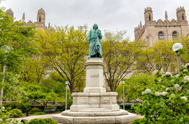 Monumento a Carl Linnaeus en el Hyde Park de la Universidad de Chicago, EE.UU.
 - Foto, imagen