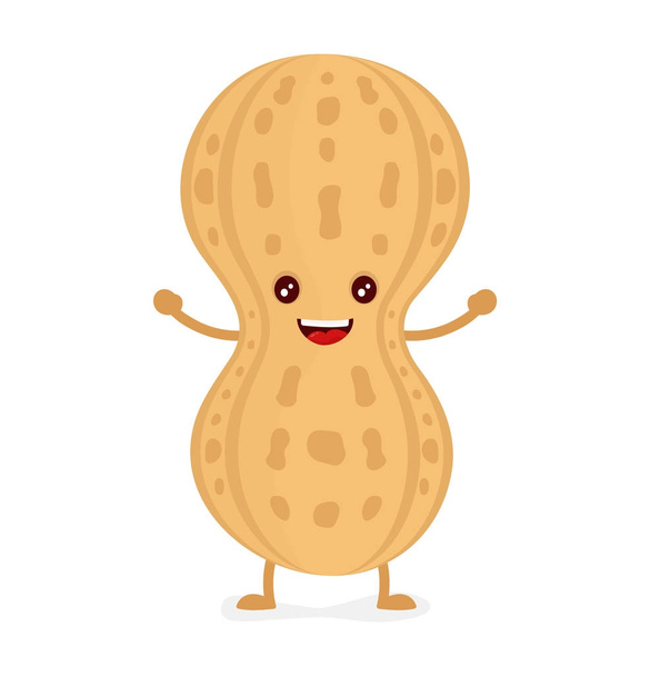 Onnellinen hymyilevä maapähkinä. Vektori tasainen
  - Vektori, kuva