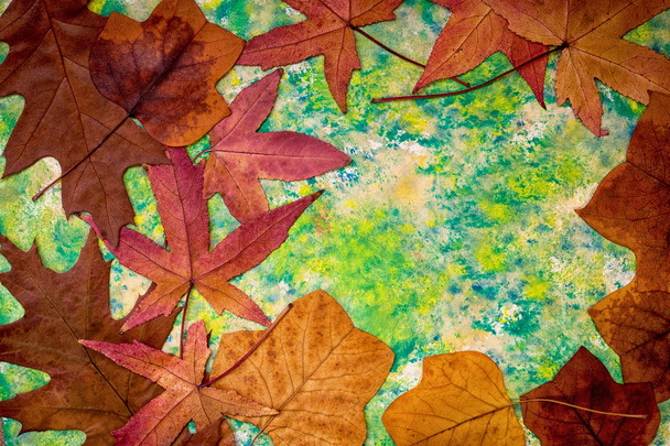 őszi levelek zöld háttérrel - Fotó, kép