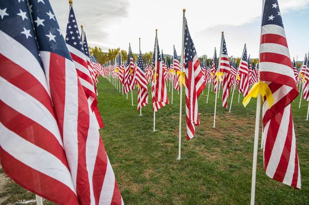 Am Veteranentag wehen amerikanische Fahnen im Wind. - Foto, Bild