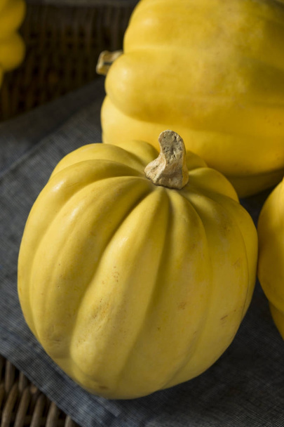Raw Organic White Yellow Acorn Squash - Foto, Imagen