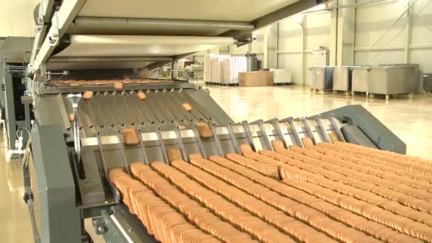 Gebak bakkerij op productie lijn in voedsel fabriek. Cookies transportband - Video