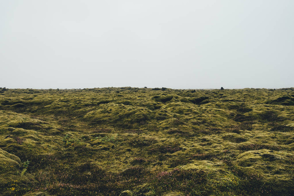 Mossy Landscape In Iceland - Foto, Imagem