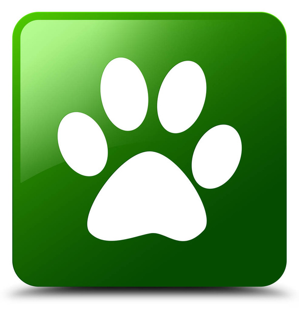 Empreinte animale icône vert bouton carré
 - Photo, image