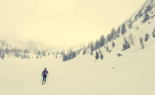 Lonely back country skier walking through a misty valley. - Valokuva, kuva