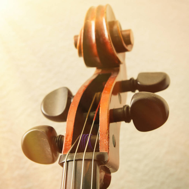 виолончельная доска
 - Фото, изображение