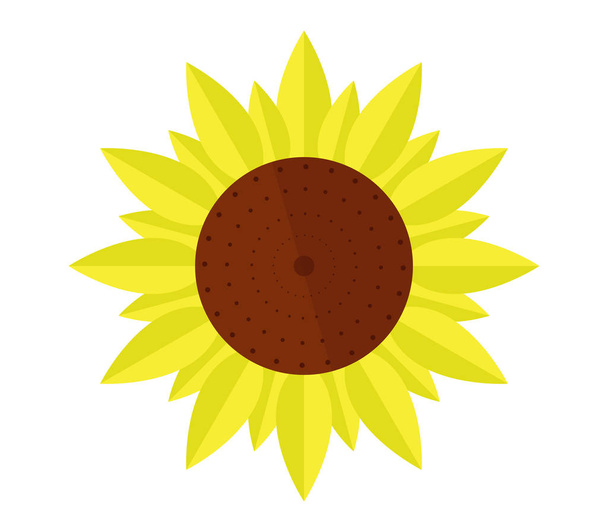 Slunečnice ikona na bílém pozadí - Vektor, obrázek