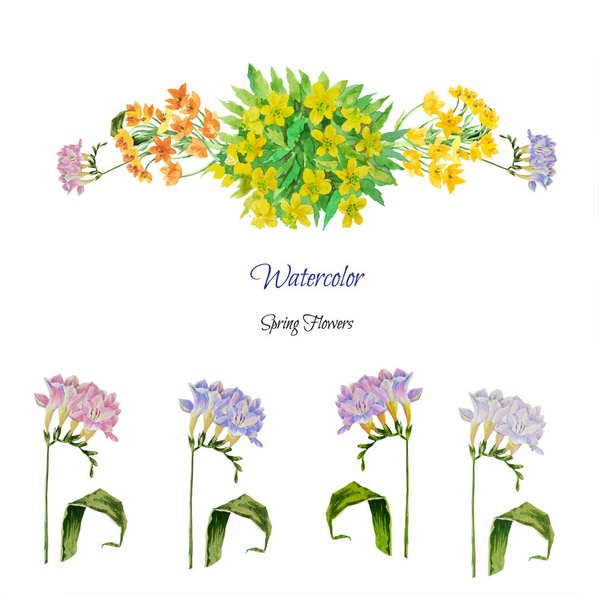 Watercolor Spring Flowers - Foto, afbeelding