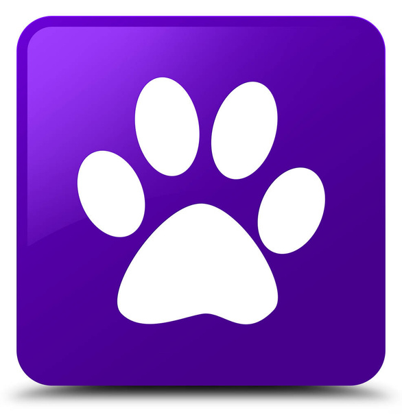 Animal icono huella púrpura botón cuadrado
 - Foto, Imagen