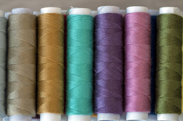 Colored sewing threads - Photo, Image