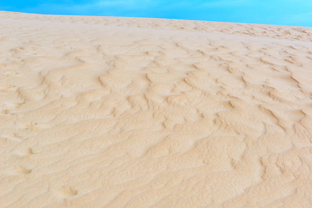 Sand dune of Lomas de Arena Regional Park, Santa Cruz, Bolivia - Photo, Image