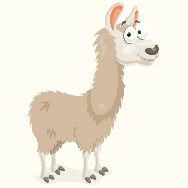 Llama Vector Illustration - Vector, Image