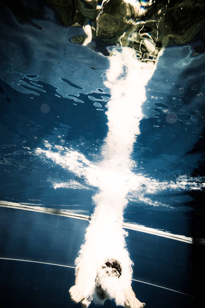 Vue sous-marine d'un homme sautant dans l'eau
 - Photo, image