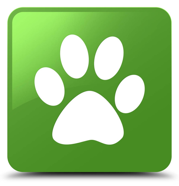Animal Footprint Symbol weicher grüner quadratischer Knopf - Foto, Bild